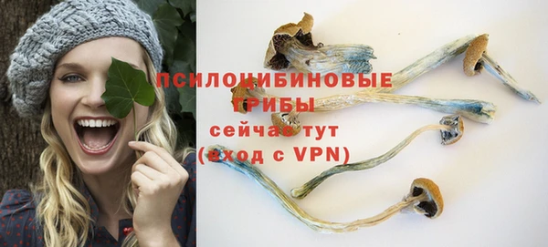 ешки Арсеньев