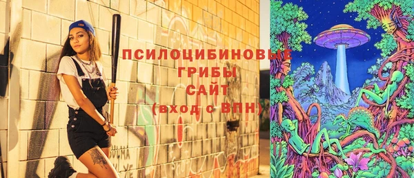 гашик Армянск