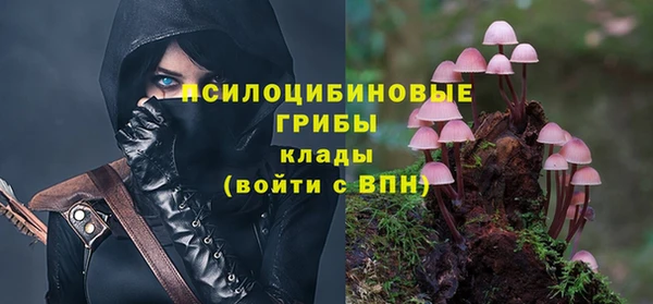 гашик Армянск